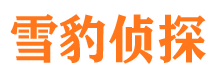 沙县市侦探调查公司